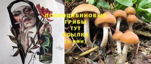 дурь Алзамай