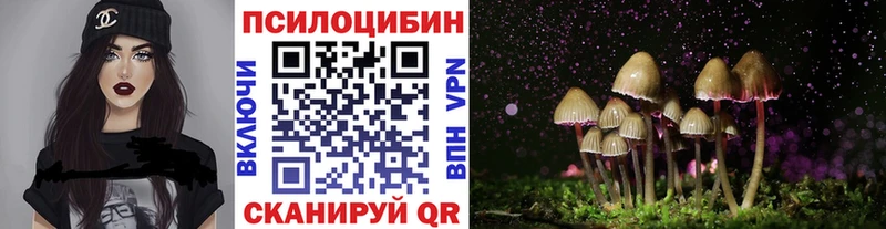 наркошоп  Сысерть  Псилоцибиновые грибы GOLDEN TEACHER 