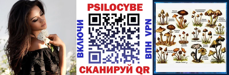 Псилоцибиновые грибы прущие грибы Сысерть